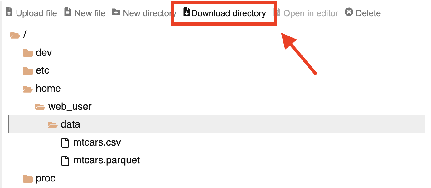 Screenshot showing the 'Download directory' feature in the webR REPL app.